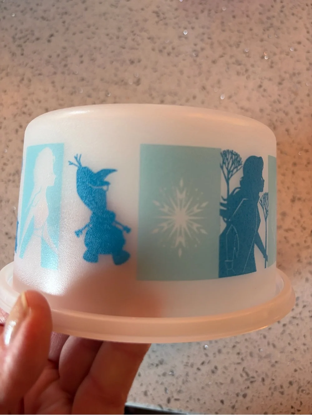 Tupperware Frozen kids cake holder and plates.